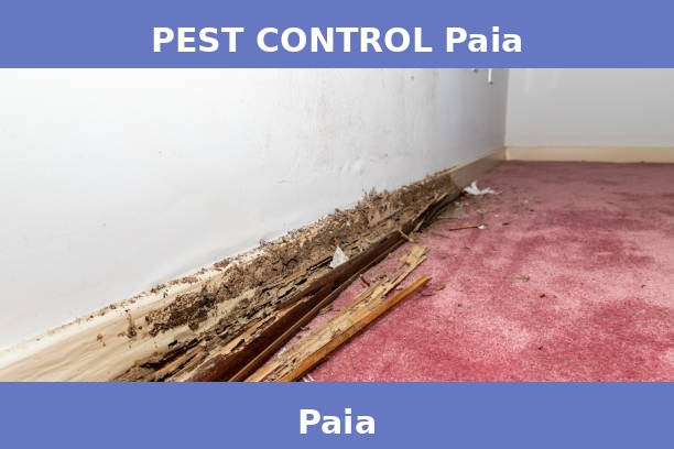 PEST CONTROL Paia